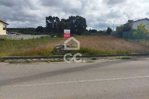 Terra a Monte Real, Leiria, Monte Real - € 45.000 | Ref: 235/T/01351 - foto 4