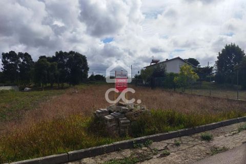 Terra a Monte Real, Leiria, Monte Real - € 45.000 | Ref: 235/T/01351 - foto 7