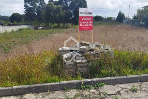 Terra a Monte Real, Leiria, Monte Real - € 45.000 | Ref: 235/T/01351 - foto 3