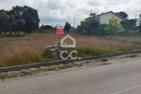 Terra a Monte Real, Leiria, Monte Real - € 45.000 | Ref: 235/T/01351 - foto 8