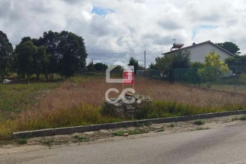 Terra a Monte Real, Leiria, Monte Real - € 45.000 | Ref: 235/T/01351 - foto 9