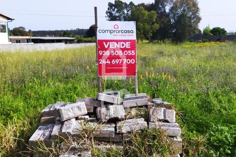 Terra a Monte Real, Leiria, Monte Real - € 45.000 | Ref: 235/T/01351 - foto 2