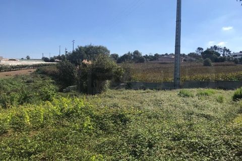 Terra a Angeja, Aveiro, Angeja - € 100.000 | Ref: AV22/174 - foto 2