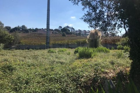 Terra a Angeja, Aveiro, Angeja - € 100.000 | Ref: AV22/174 - foto 3