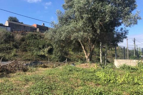 Terra a Angeja, Aveiro, Angeja - € 100.000 | Ref: AV22/174 - foto 4