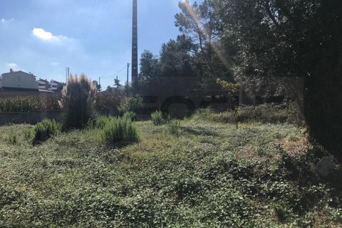 Terra a Angeja, Aveiro, Angeja - € 100.000 | Ref: AV22/174 - foto 5