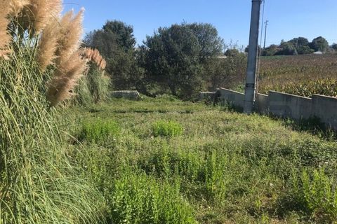 Terra a Angeja, Aveiro, Angeja - € 100.000 | Ref: AV22/174 - foto 6