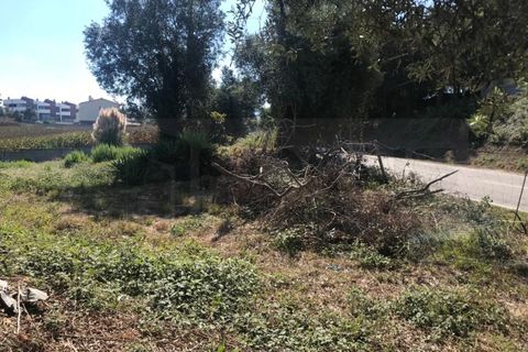 Terra a Angeja, Aveiro, Angeja - € 100.000 | Ref: AV22/174 - foto 7