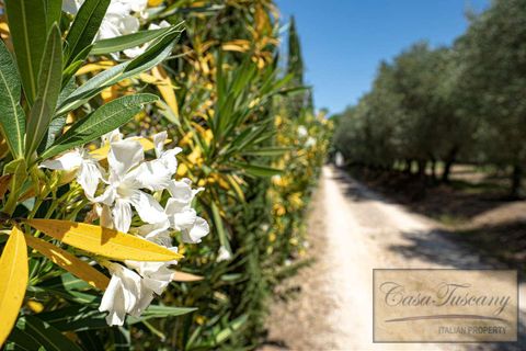 Villa a Certaldo, Florence, Certaldo - € 1.700.000 | Ref: v5497d-x - foto 2