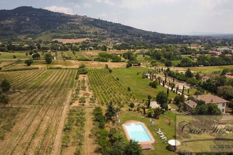 Landejendom i Cortona, Arezzo, Cortona - € 3.500.000 | Ref: v2564ts-x - foto 22