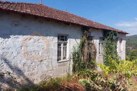 Landejendom i Melgaco, Viana do Castelo, Melgaco - € 65.000 | Ref: SAFTI:002335 - foto 3