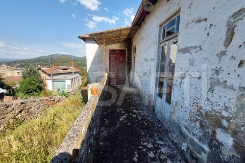 Landejendom i Melgaco, Viana do Castelo, Melgaco - € 65.000 | Ref: SAFTI:002335 - foto 6