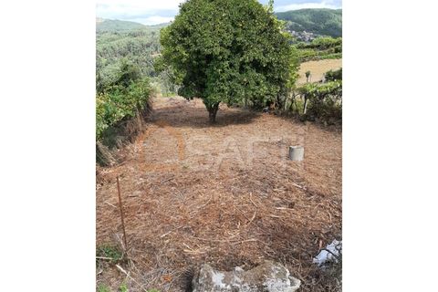Landejendom i Melgaco, Viana do Castelo, Melgaco - € 65.000 | Ref: SAFTI:002335 - foto 13
