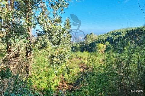 Ruinere i Monchique, Faro, Monchique - € 70.000 | Ref: JL009 AL - foto 3