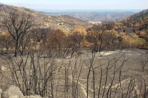 Ruinere i Monchique, Faro, Monchique - € 70.000 | Ref: JL009 AL - foto 13