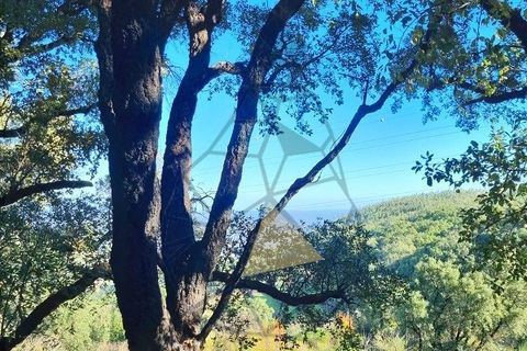 Ruinere i Monchique, Faro, Monchique - € 70.000 | Ref: JL009 AL - foto 21