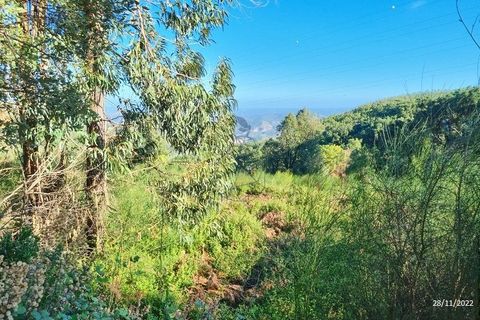 Ruina en Monchique, Faro, Monchique - € 70.000 | Ref: JL009 AL - photo 3