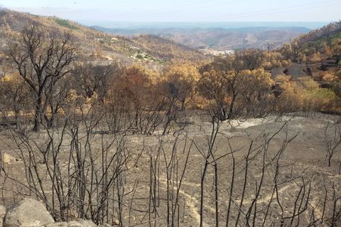 Ruina en Monchique, Faro, Monchique - € 70.000 | Ref: JL009 AL - photo 13