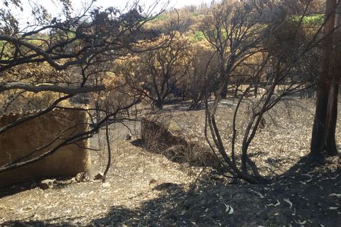 Ruina en Monchique, Faro, Monchique - € 70.000 | Ref: JL009 AL - photo 15