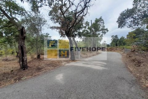 Helårsgrund i Santo Andre, Setubal, Santo Andre - € 16.500 | Ref: PAR_82 - foto 1