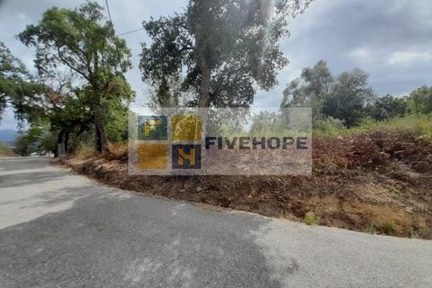 Helårsgrund i Santo Andre, Setubal, Santo Andre - € 16.500 | Ref: PAR_82 - foto 6