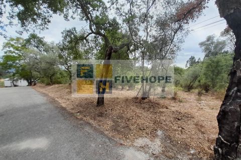 Helårsgrund i Santo Andre, Setubal, Santo Andre - € 16.500 | Ref: PAR_82 - foto 7