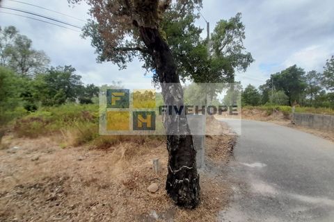 Helårsgrund i Santo Andre, Setubal, Santo Andre - € 16.500 | Ref: PAR_82 - foto 8