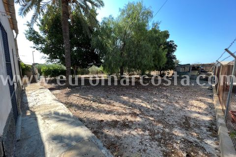 Landejendom i Elche, Alicante, Elche - € 290.000 | Ref: 4115 - foto 3