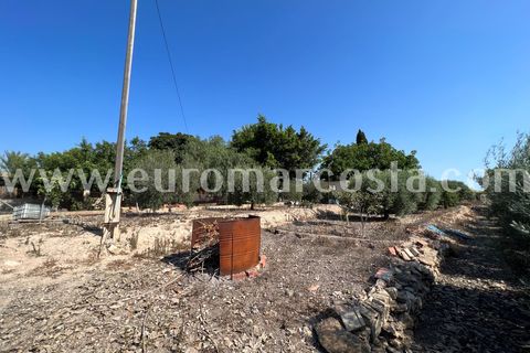 Landejendom i Elche, Alicante, Elche - € 290.000 | Ref: 4115 - foto 27