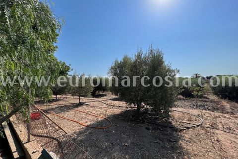 Landejendom i Elche, Alicante, Elche - € 290.000 | Ref: 4115 - foto 26