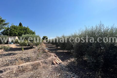 Landejendom i Elche, Alicante, Elche - € 290.000 | Ref: 4115 - foto 30