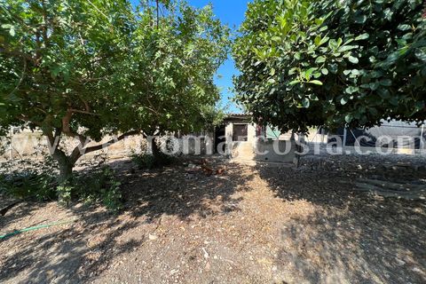 Landejendom i Elche, Alicante, Elche - € 290.000 | Ref: 4115 - foto 29