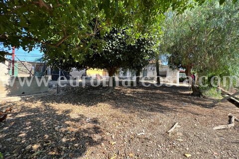 Landejendom i Elche, Alicante, Elche - € 290.000 | Ref: 4115 - foto 24