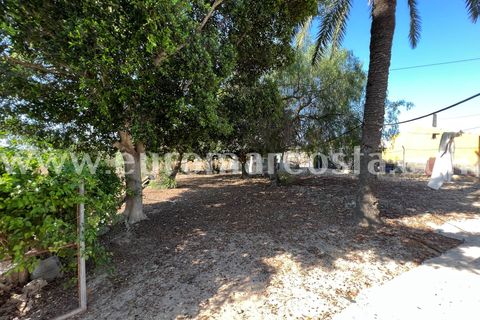 Landejendom i Elche, Alicante, Elche - € 290.000 | Ref: 4115 - foto 28
