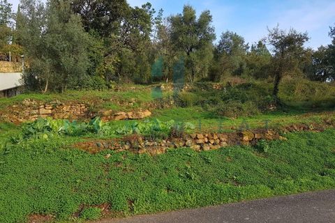 Tomt i Assafarge e Antanhol, Coimbra, Assafarge e Antanhol - € 75 000 | Ref: V18695TU - foto 2