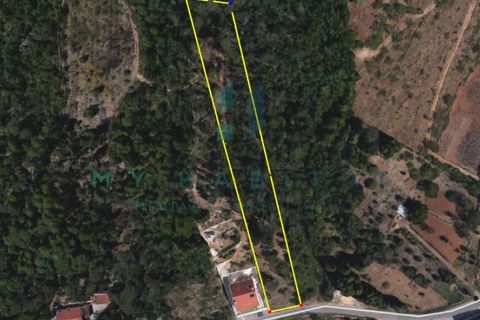 Tomt i Assafarge e Antanhol, Coimbra, Assafarge e Antanhol - € 75 000 | Ref: V18695TU - foto 3