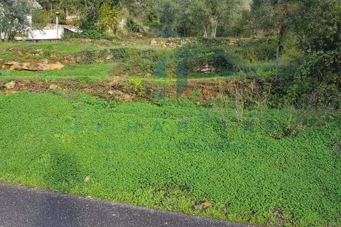 Tomt i Assafarge e Antanhol, Coimbra, Assafarge e Antanhol - € 75 000 | Ref: V18695TU - foto 4