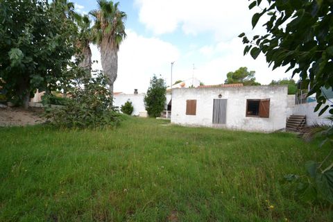 Villa i Deltebre, Tarragona, Deltebre - € 550.000 | Ref: FZR1146/6931 - foto 38