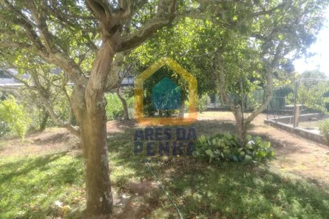 Villa i Cinfaes, Braga, Cinfaes - € 358.000 | Ref: 5485 - foto 5
