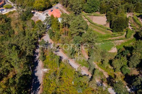 Helårsgrund i Amarante, Porto, Amarante - € 6.900 | Ref: ZMPT552160 - foto 2