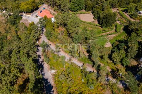 Helårsgrund i Amarante, Porto, Amarante - € 6.900 | Ref: ZMPT552160 - foto 3