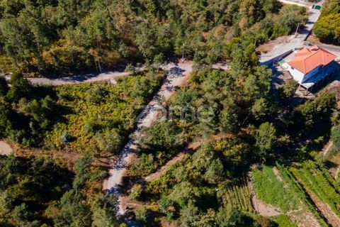 Helårsgrund i Amarante, Porto, Amarante - € 6.900 | Ref: ZMPT552160 - foto 7