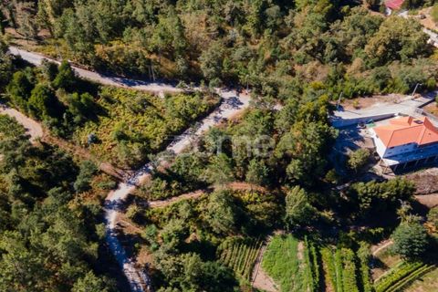 Helårsgrund i Amarante, Porto, Amarante - € 6.900 | Ref: ZMPT552160 - foto 8