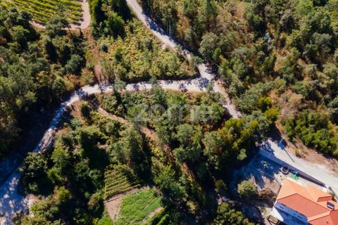 Helårsgrund i Amarante, Porto, Amarante - € 6.900 | Ref: ZMPT552160 - foto 10