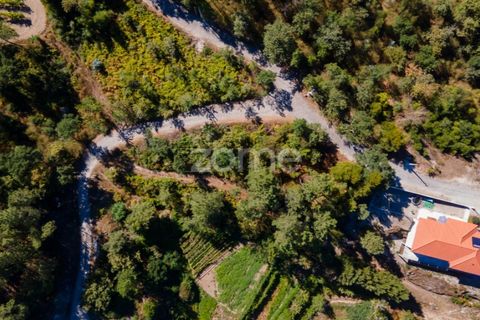 Helårsgrund i Amarante, Porto, Amarante - € 6.900 | Ref: ZMPT552160 - foto 11