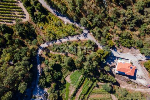 Helårsgrund i Amarante, Porto, Amarante - € 6.900 | Ref: ZMPT552160 - foto 12