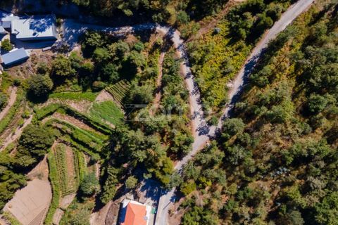 Helårsgrund i Amarante, Porto, Amarante - € 6.900 | Ref: ZMPT552160 - foto 13