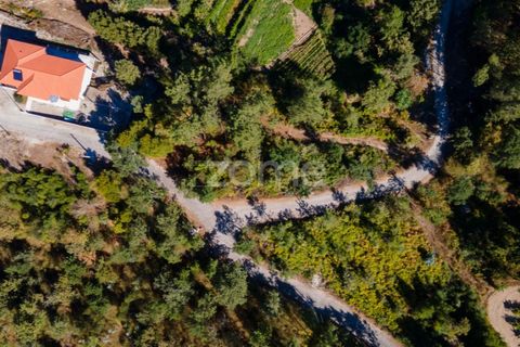Helårsgrund i Amarante, Porto, Amarante - € 6.900 | Ref: ZMPT552160 - foto 15