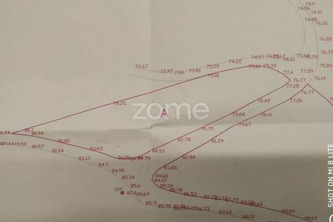 Helårsgrund i Amarante, Porto, Amarante - € 6.900 | Ref: ZMPT552160 - foto 21