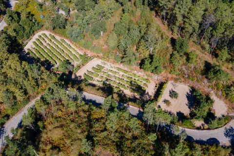 Helårsgrund i Amarante, Porto, Amarante - € 52.000 | Ref: ZMPT552161 - foto 6